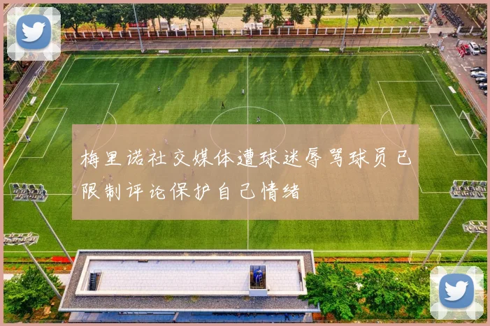 梅里诺社交媒体遭球迷辱骂球员已限制评论保护自己情绪