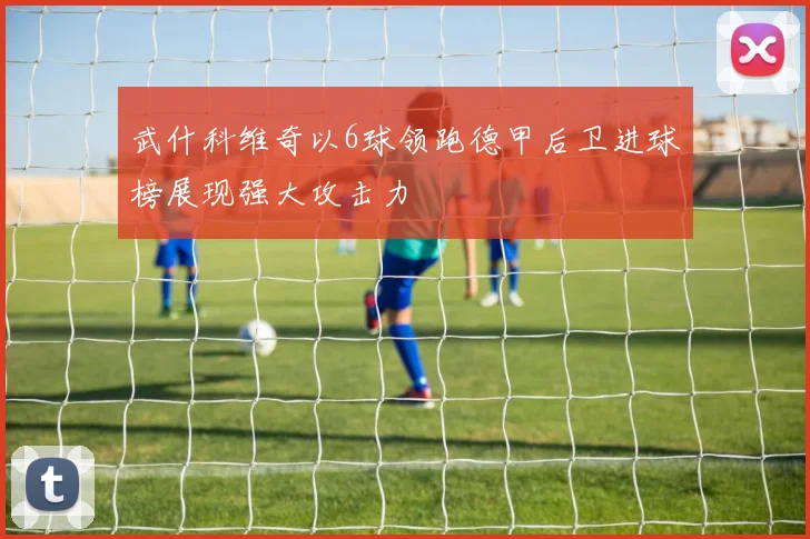 武什科维奇以6球领跑德甲后卫进球榜展现强大攻击力